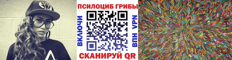Псилоцибиновые грибы прущие грибы  Грайворон 